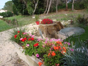 Parco della struttura