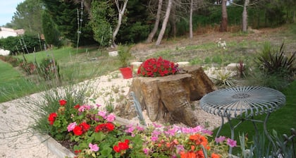 casa de campo en la pequeña Camarga a orillas del Petit Rhone para el descanso y la tranquilidad