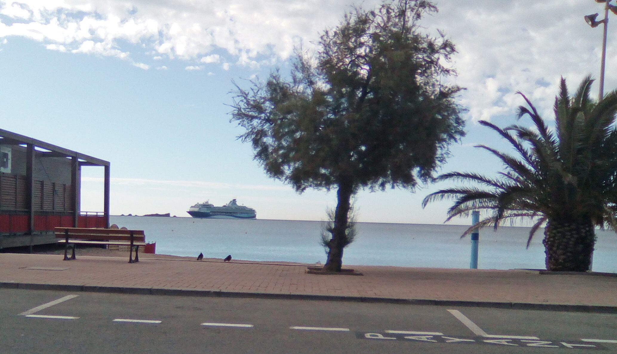 A waterfront promenade with a bench, a tree, and a ship in the background.