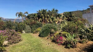 A well-maintained garden with various plants and a clear sky. - Vista Para o Mar, Calmo / sem Vis-à-vis, a 5min da Praia, Piscina com Portões (Calvi)