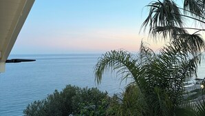 A view of the ocean from a balcony with a clear sky. - Villa by the sea - Breathtaking sea view & infinity pool - Costa del Sol (manilva)