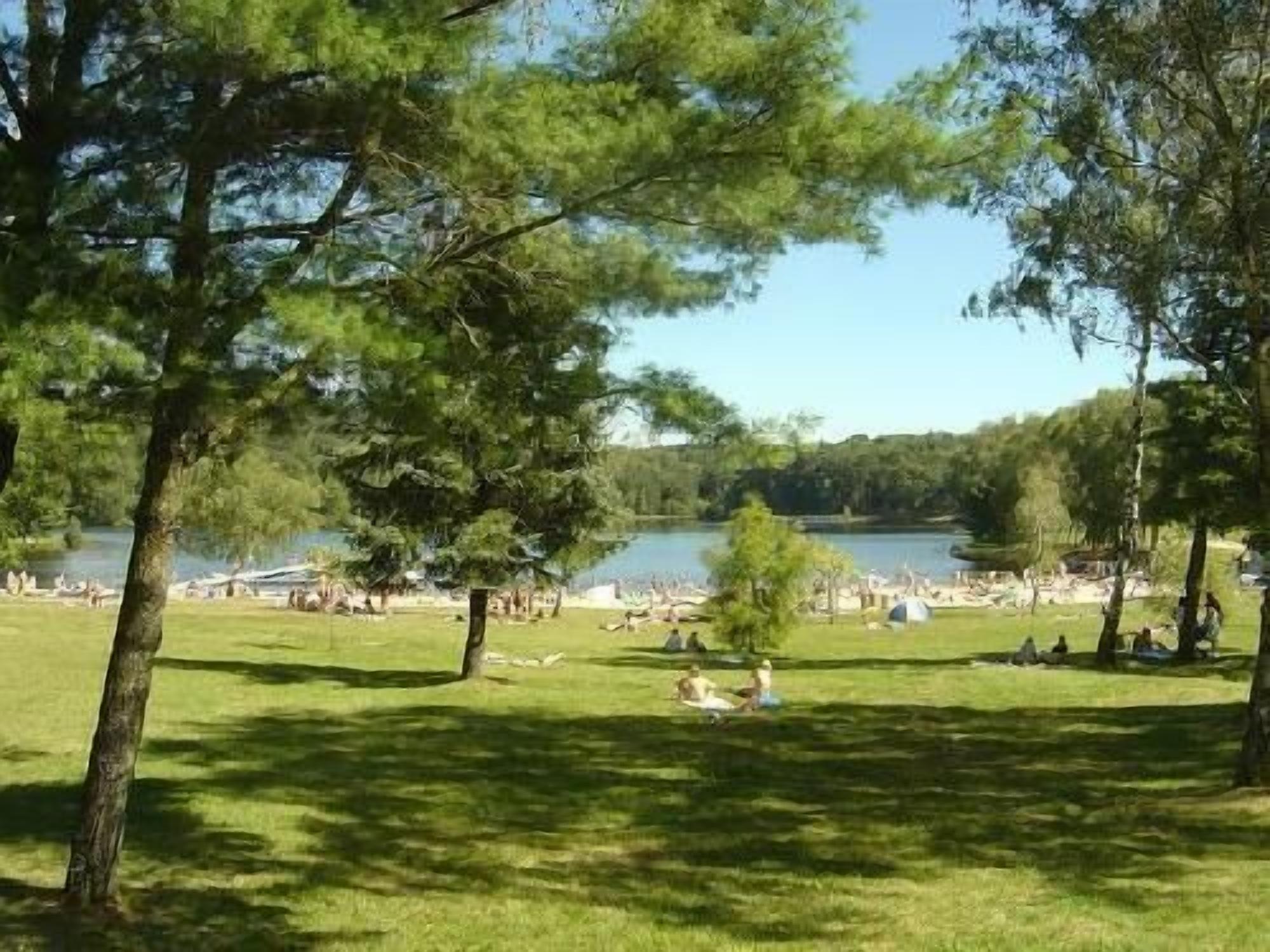 Un parque con árboles, un lago y gente descansando sobre el césped.