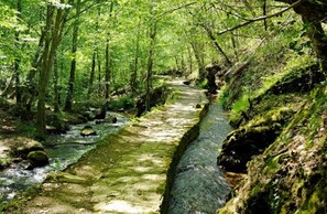 A narrow, moss-covered stone pathway in a forested area with a small stream running alongside. - 18th Century mill, nice furnishing and decoration by the river (Dampniat)