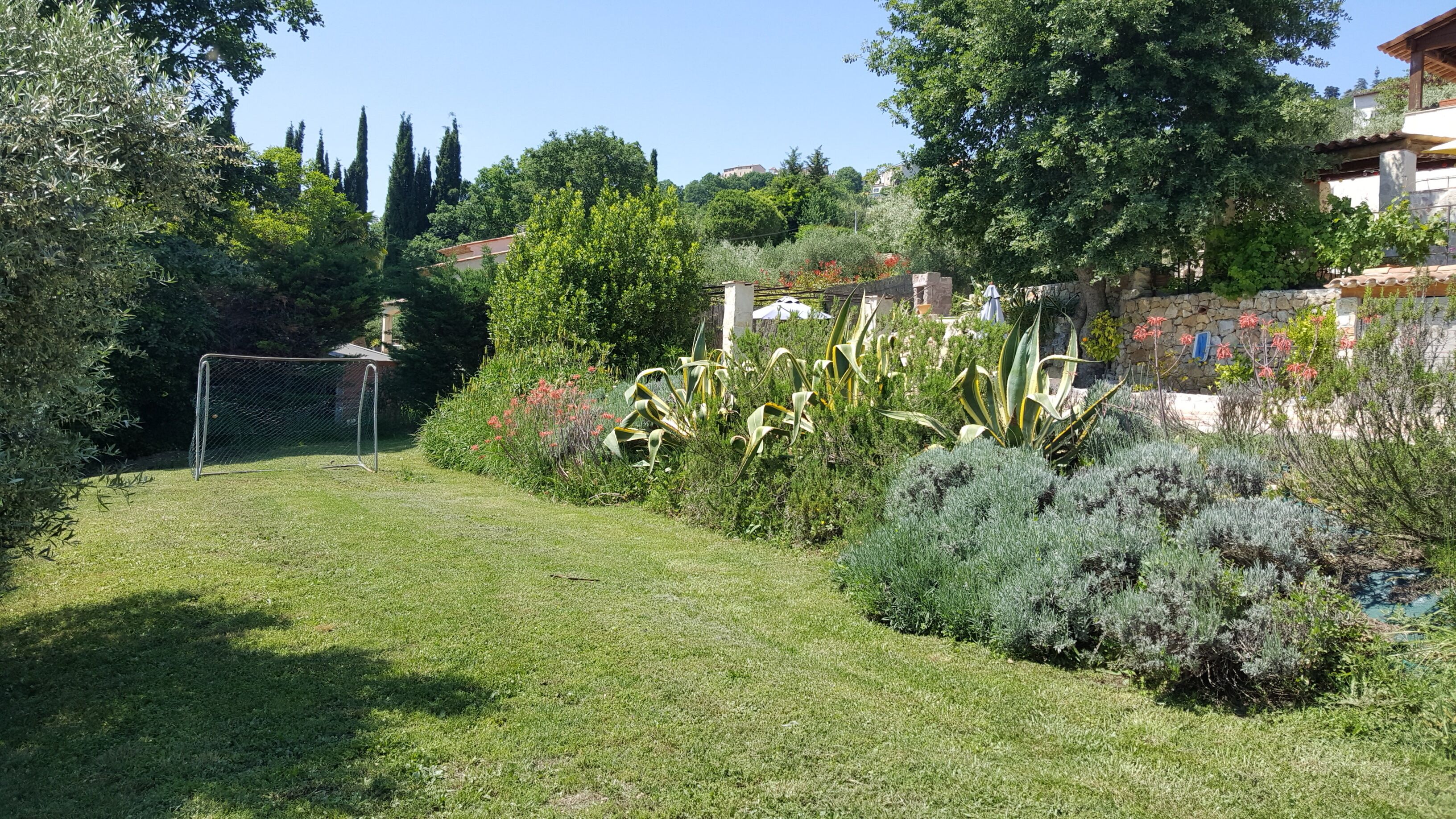 A well-maintained garden with a variety of plants and a soccer goal.