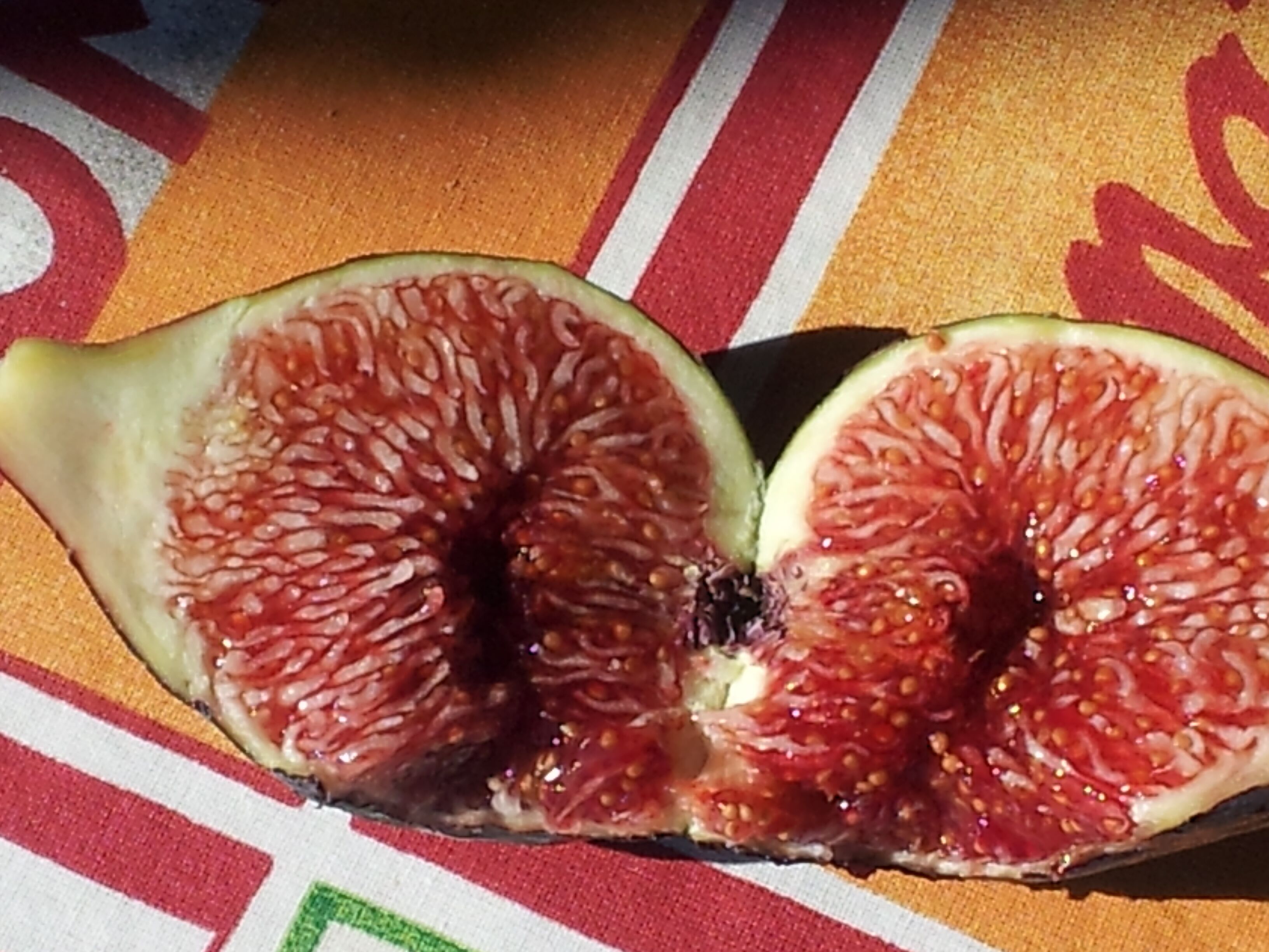 A half-cut fig on a tablecloth with a red and white pattern.