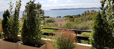 Un balcón con plantas en macetas y vista al mar.