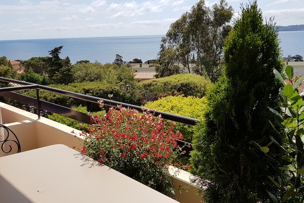 Vue terrasse