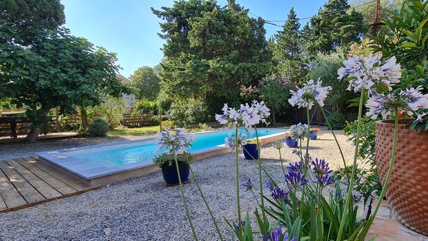 Une piscine entourée de plantes en pot et bordée d’une terrasse en bois.