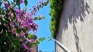 Un escalier en béton avec une rampe métallique, montant vers le haut, entouré de verdure et de fleurs.