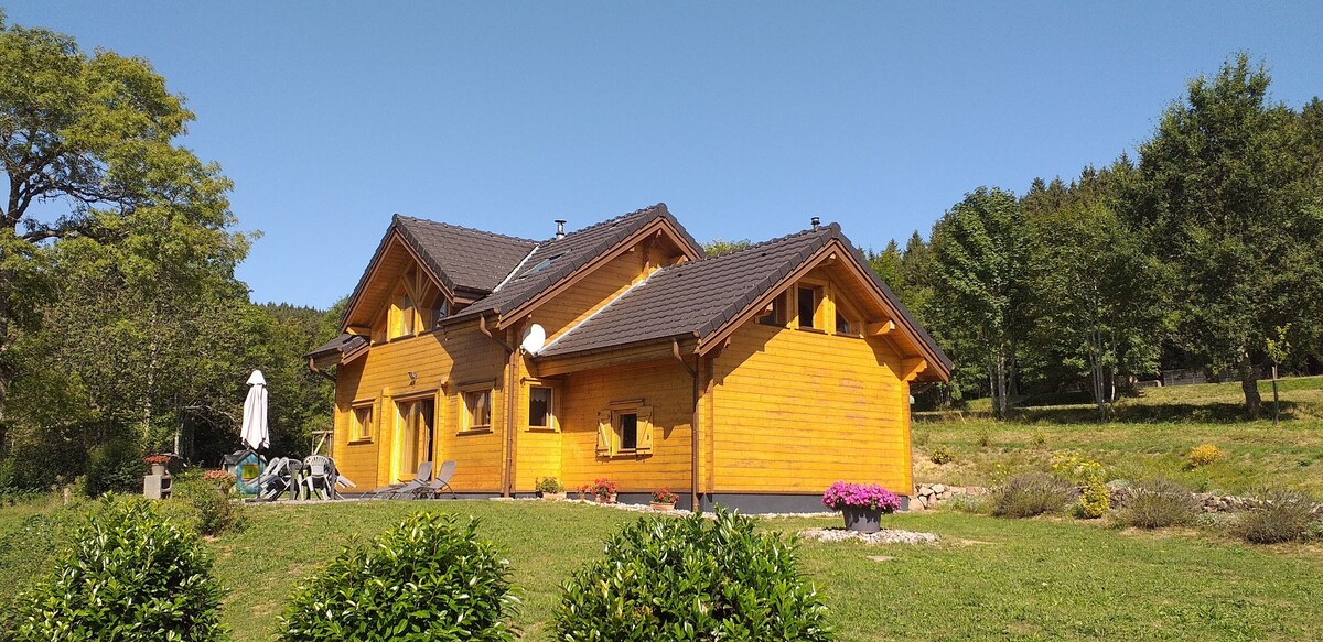 Imagen de perfil del propietario o de la propietaria