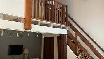 Télévision, cheminée, livres