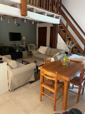 TV, fireplace, books