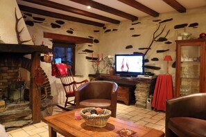 Smart-TV, Kamin, DVD-Player, Bücher