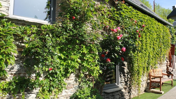 A stone building with a vine-covered exterior and a wooden bench outside. - Great Pyrenees typical barn furnished with all modern comforts (Cadeilhan-Trachère)