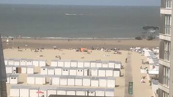 Playa en los alrededores y camastros