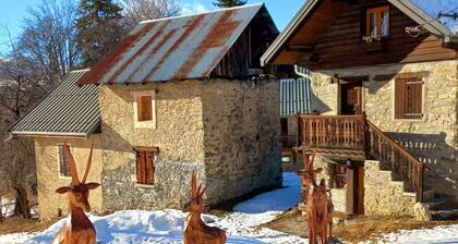 Charmant chalet montagnard proche de la station et du lac d'Albiez-Montrond