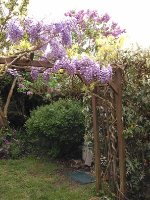 Property grounds - Apartment Quiberon 56 - (Quiberon)