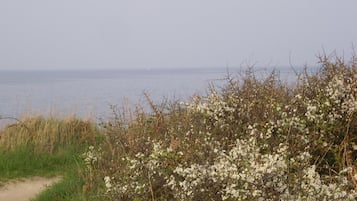 Vlak bij het strand, ligstoelen aan het strand