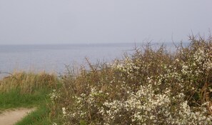 Playa en los alrededores y camastros