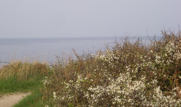 Beach nearby, sun loungers - Apartment Quiberon 56 - (Quiberon)