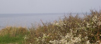 Lejlighed Quiberon 56 - 80 m2 mærket 3 ferie nøgler