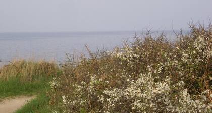 Appartement Quiberon 56 - 80 m2 labellisé 3 clés vacances. PROMO du 29.06-13.07