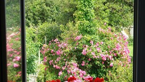 Een raam met uitzicht op een tuin met roze bloemen en groene begroeiing.