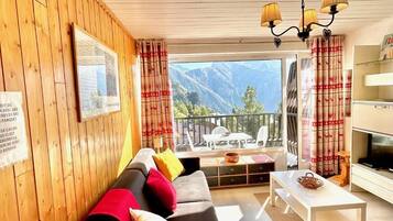 Télévision, lecteur de DVD, livres