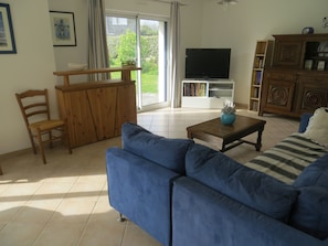 TV, DVD player, books, video library