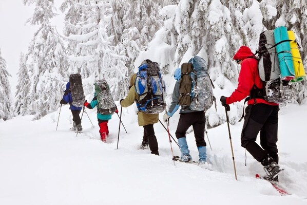 Un grupo de personas caminando en un bosque nevado.