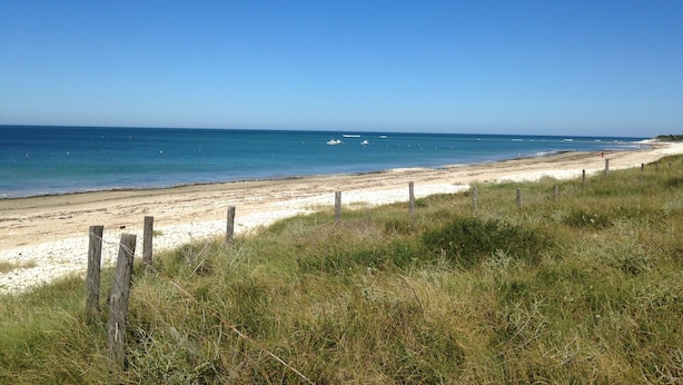 A beach with a wooden fence, sandy shore, and calm sea.