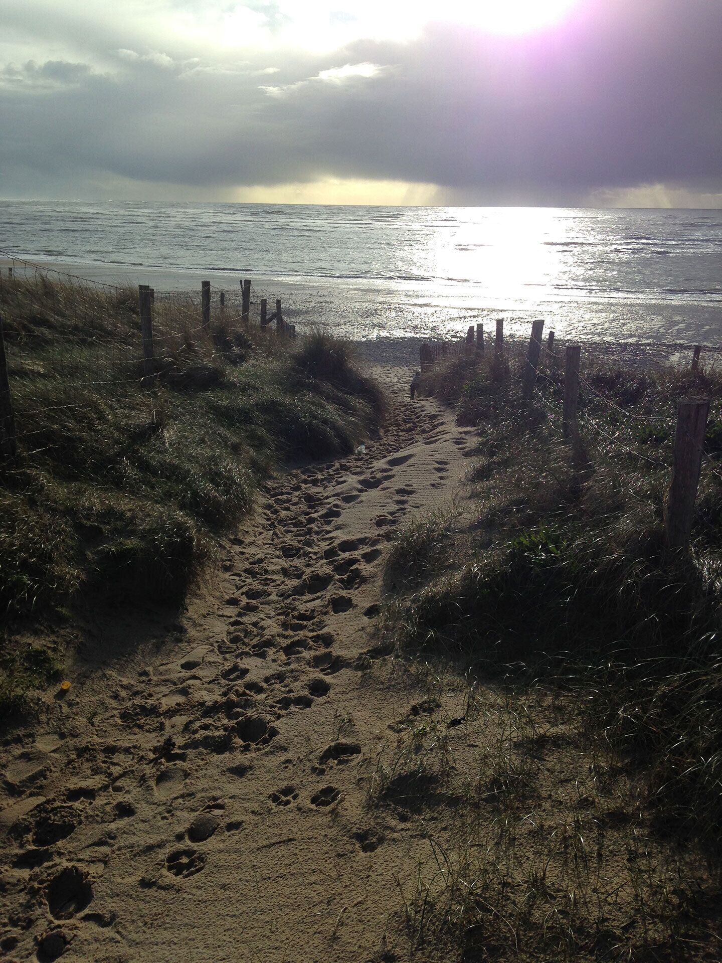 A sandy beach path with footprints leading to the sea, surrounded by grassy areas and wooden fences.