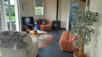 Télévision, cheminée, lecteur de DVD, livres