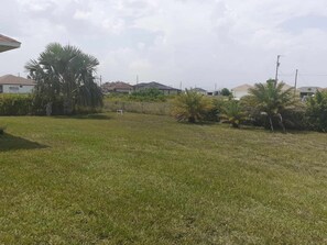 Un espacio verde con palmeras y casas al fondo.