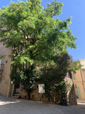 A building with a stone wall and a large tree with green leaves and red flowers.