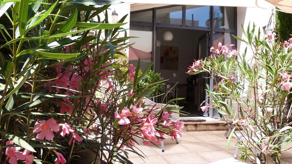 A patio area with potted plants and a glass door entrance.