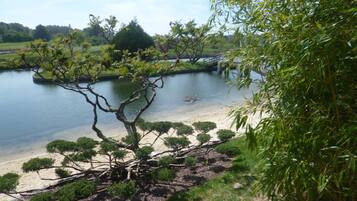 Playa en los alrededores