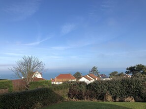 Unclassified image, 2 of 39, button