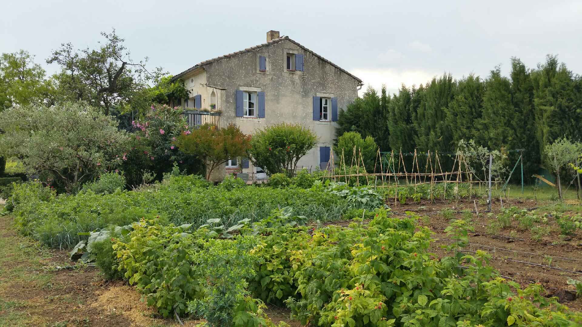 COTE EST soleil levant sur potager