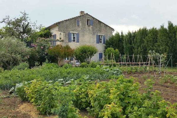 COTE EST soleil levant sur potager