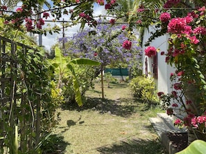 Property grounds - 500m from the beach: VILLA in ST GILLES (BOUCAN CANOT) + optional bungalows (Boucan Canot)