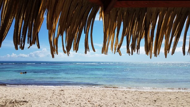 Ein Strand mit einer strohgedeckten Struktur.