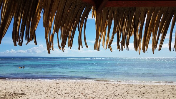 Beach nearby - Ti Cocoon 881 Anse des Rochers DRC sea view 2 bedrooms 4 people wifi  Water tank (ST François)