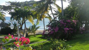 Ein Garten mit Palmen, Bougainvillea und Blick auf das Meer.