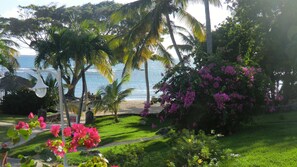 Property grounds - Ti Cocoon 881 Anse des Rochers DRC sea view 2 bedrooms 4 people wifi  Water tank (ST François)