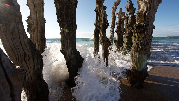 Una playa con estructuras de madera desgastada y olas rompiendo cerca.