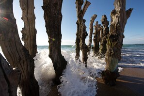 Playa en los alrededores 