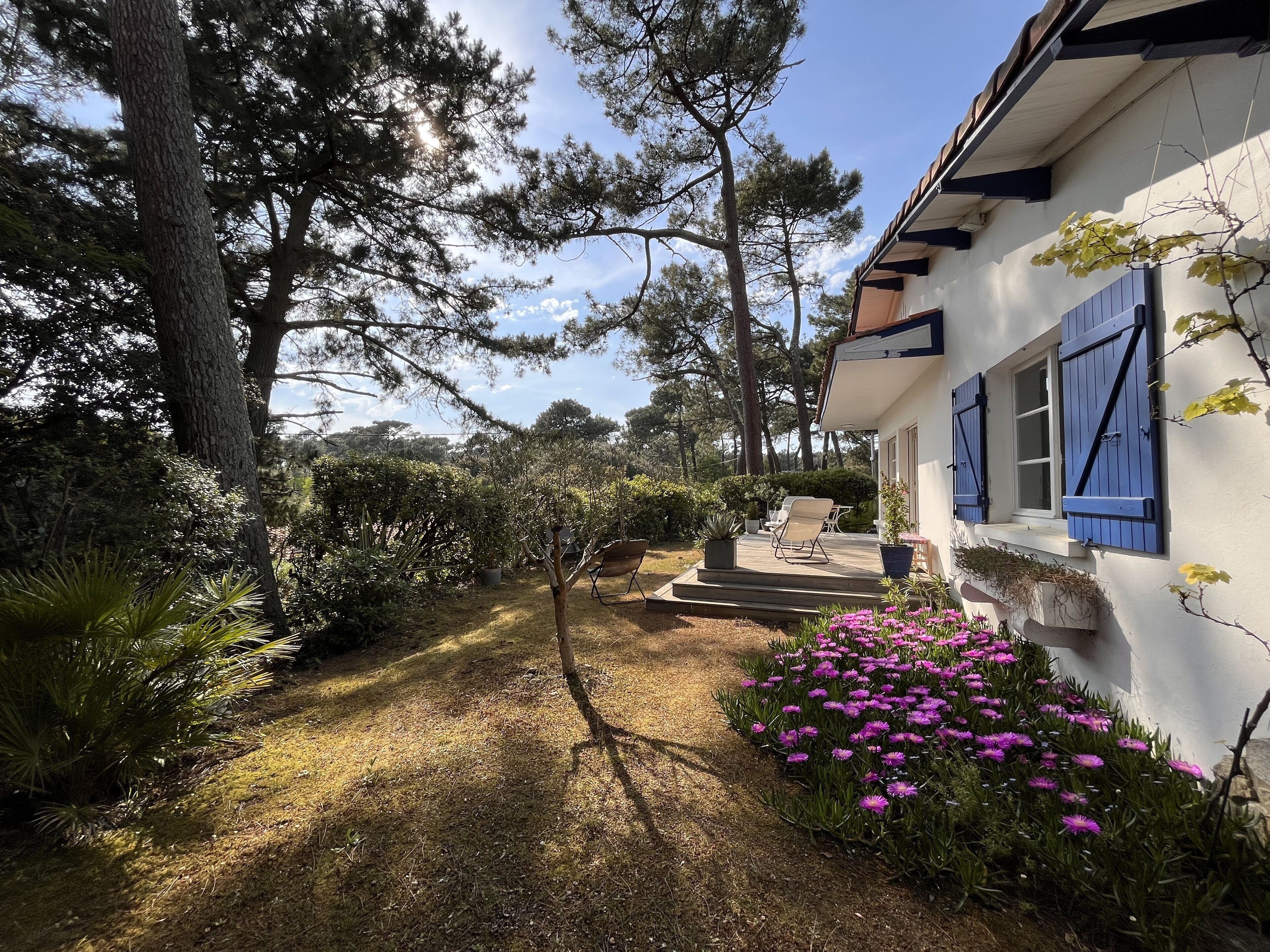 A house with a deck, surrounded by trees and a garden with purple flowers.