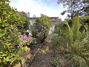 A garden with various plants and a building in the background.