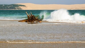 A beach with a large driftwood piece in the sand, waves crashing nearby, and a distant sandy dune.